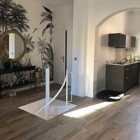 Duplex Avec Terrasse Apartament *